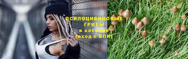 не бодяженный Аркадак